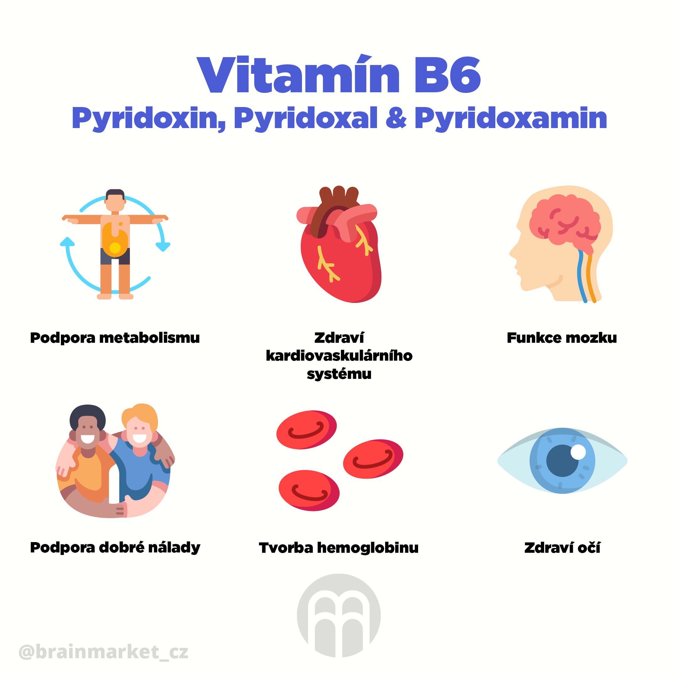 Vitamin B6 pyridoxin infografika brainmarket CZ
